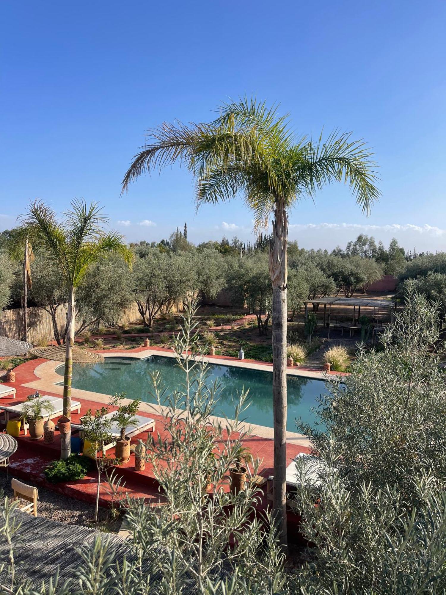 Villa Chez Marie Marrakesh Ngoại thất bức ảnh